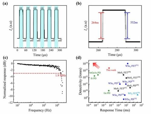 王顺教授课题组在过渡金属硫族化合物光电二极管器件研究中取得重要进展